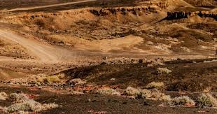 不再是背景板，BLG败者组决赛击败EDG，晋级无畏契约第二赛段决赛